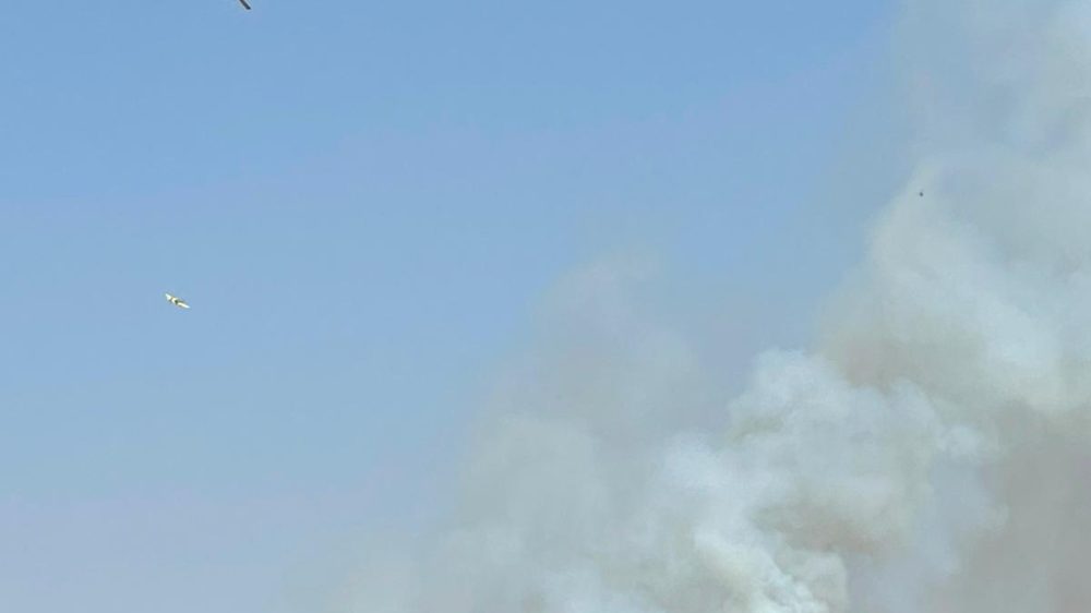 שריפה מחסיה