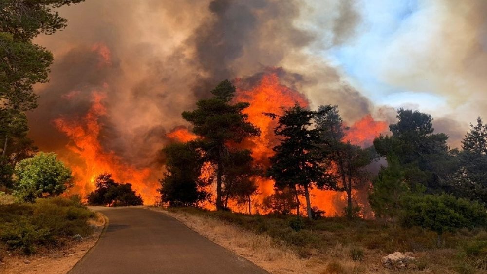 שריפה מסילת ציון