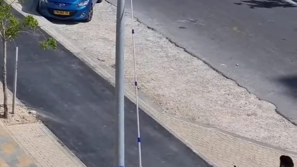 תלישת דגלים