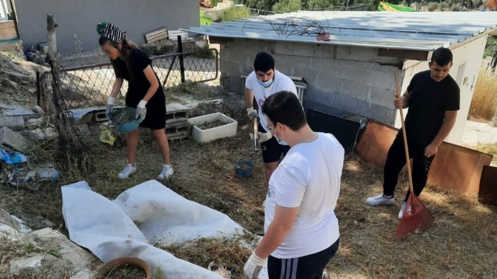 תלמידי ברנקו וויס